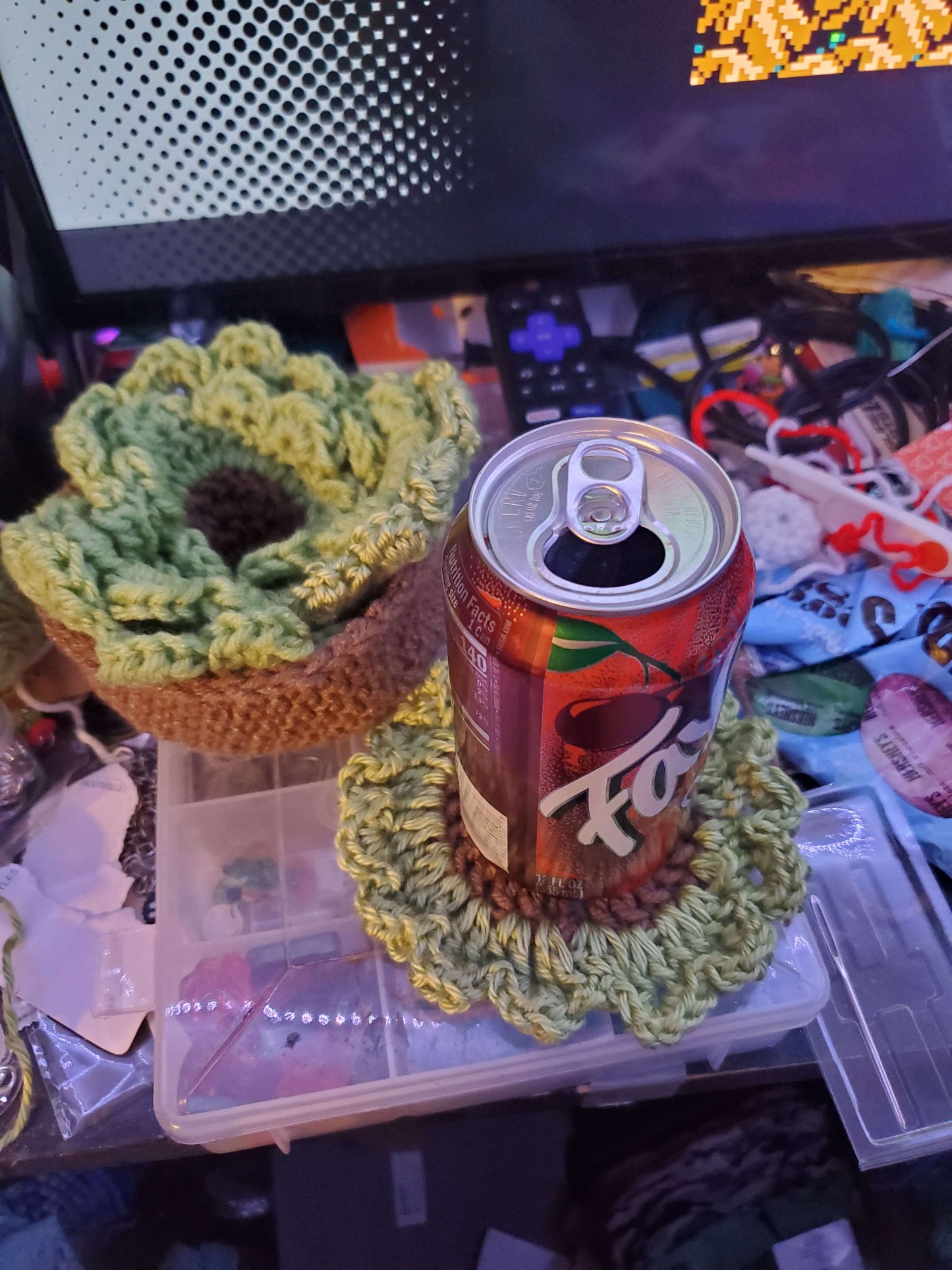 Succulent coaster Set