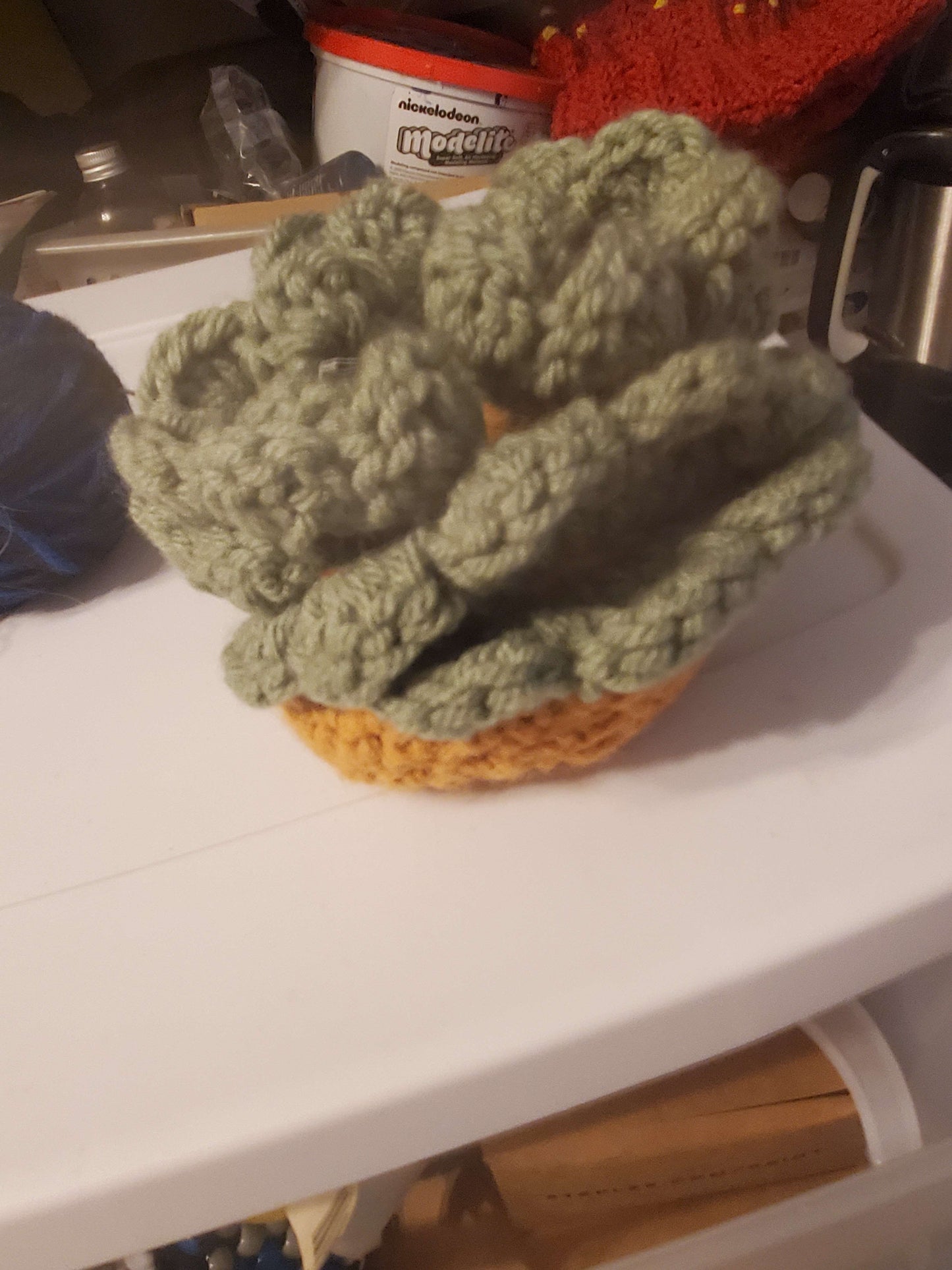 Succulent coaster Set