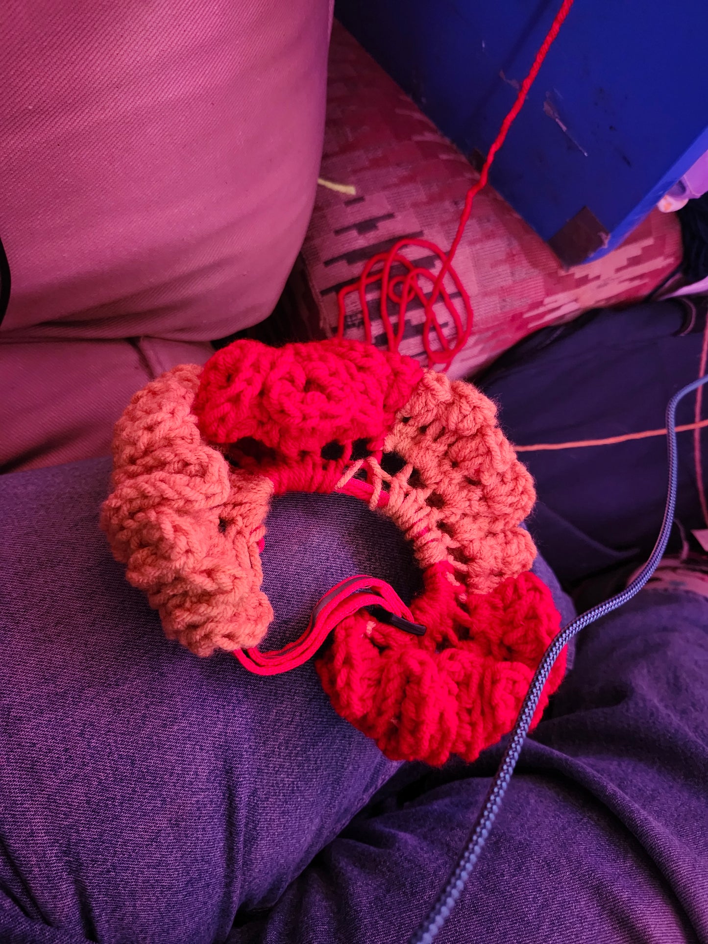 clown collars for cats