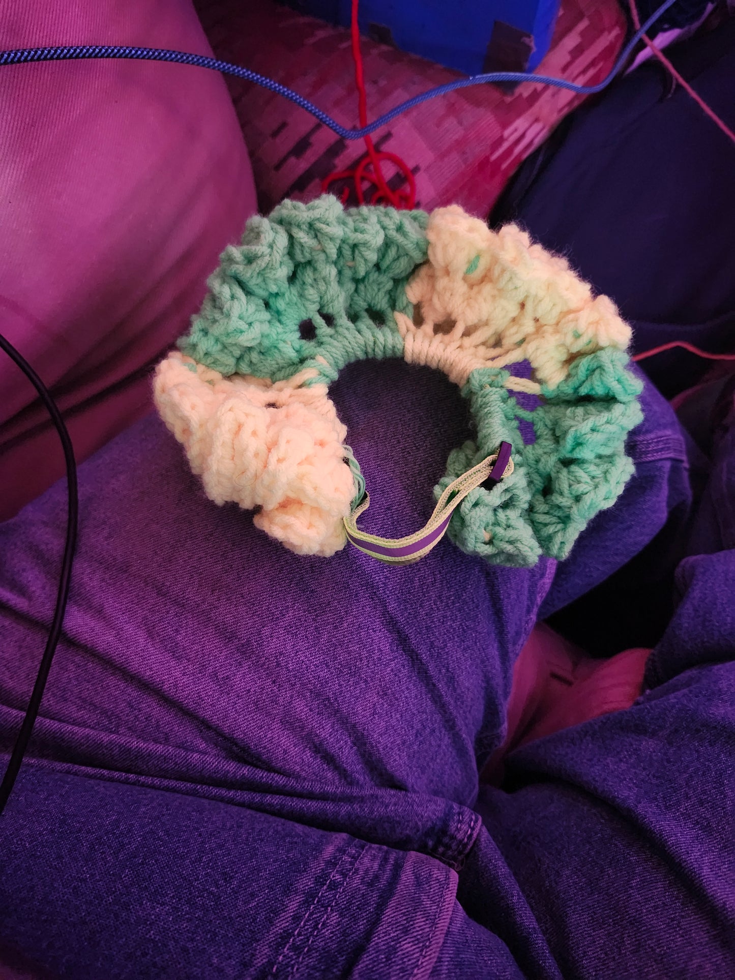 clown collars for cats